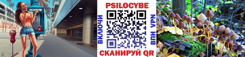 Купить  Андреаполь  Псилоцибиновые грибы мухоморы 